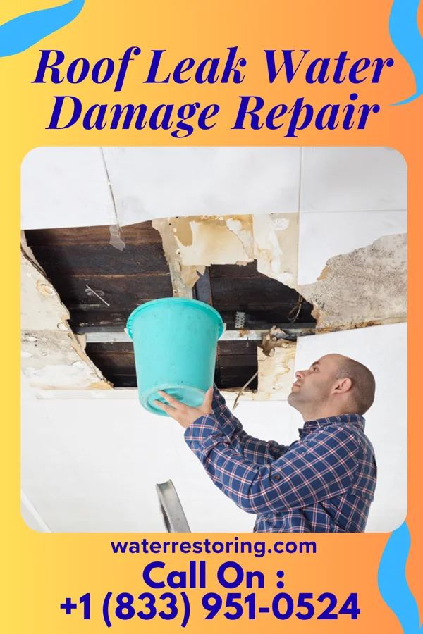 Roof Leak Water Damage Repair in Rosedale, CA